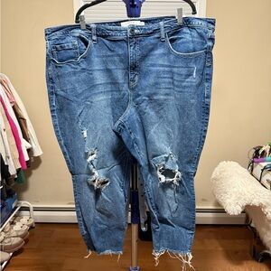 Torrid Size 26 Short- Distressed High-Rise Straight Blue Women's Jeans